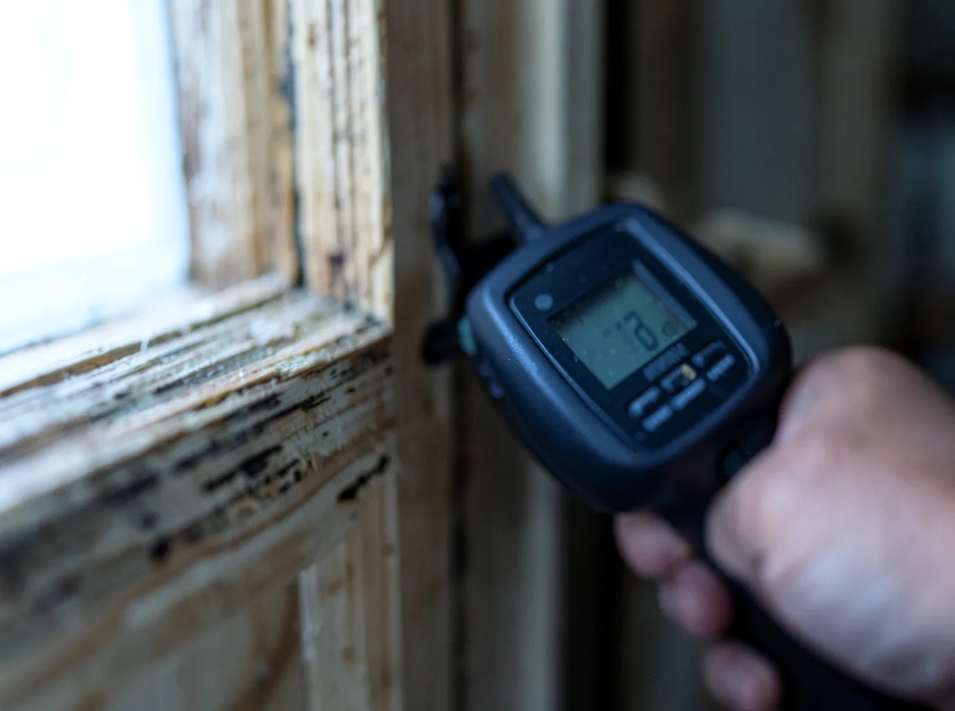 Moisture Inspection And Documentation in Piney Point, MD